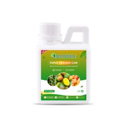 Mango Booster 500 ML