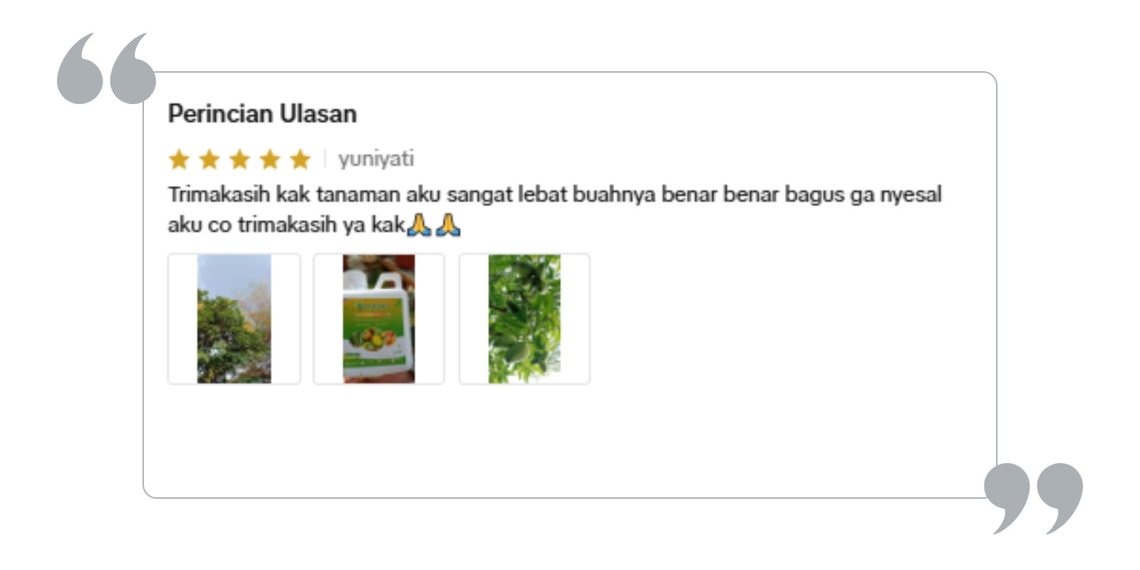 Testimoni (1)
