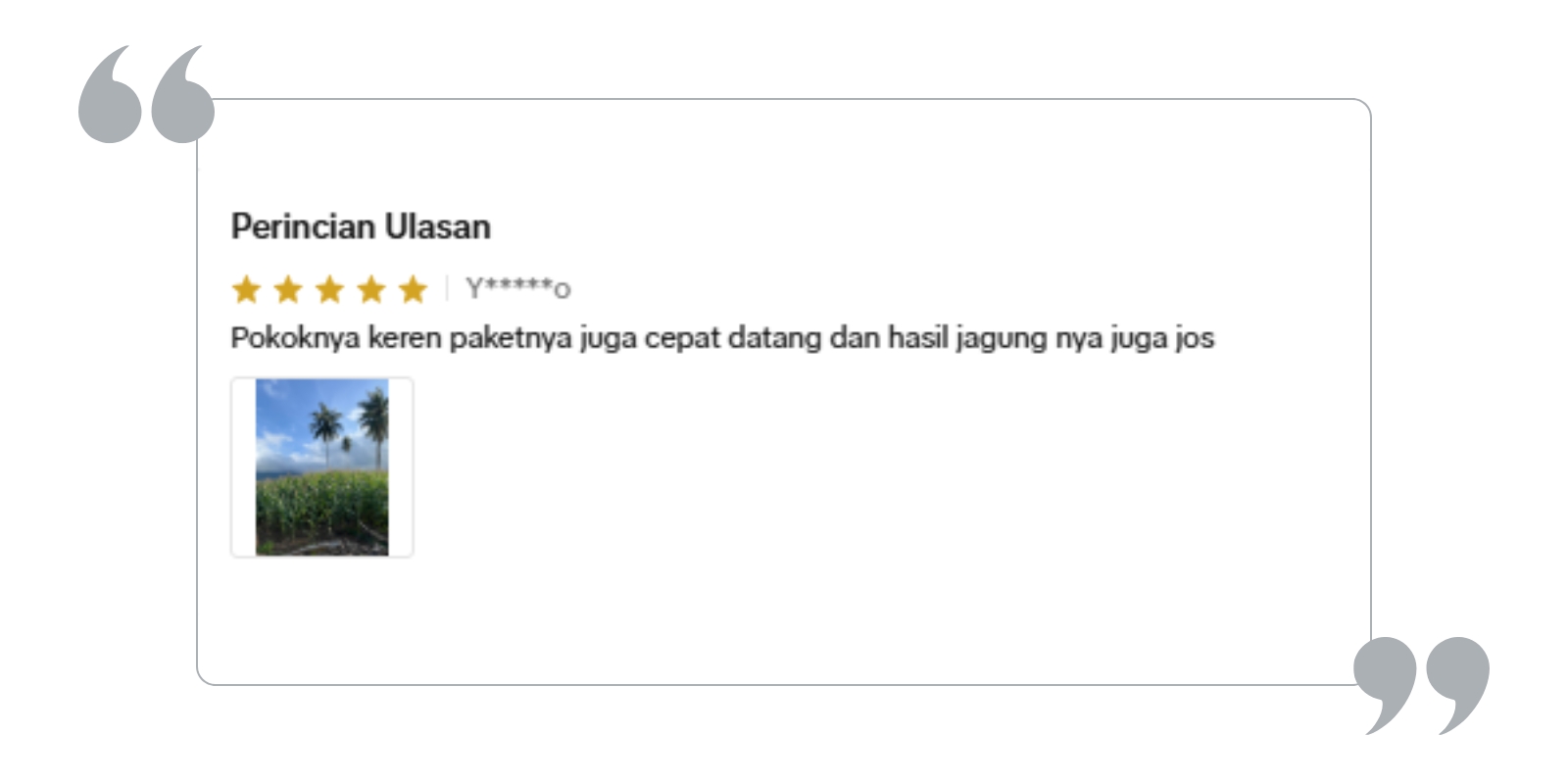 Testimoni (3)