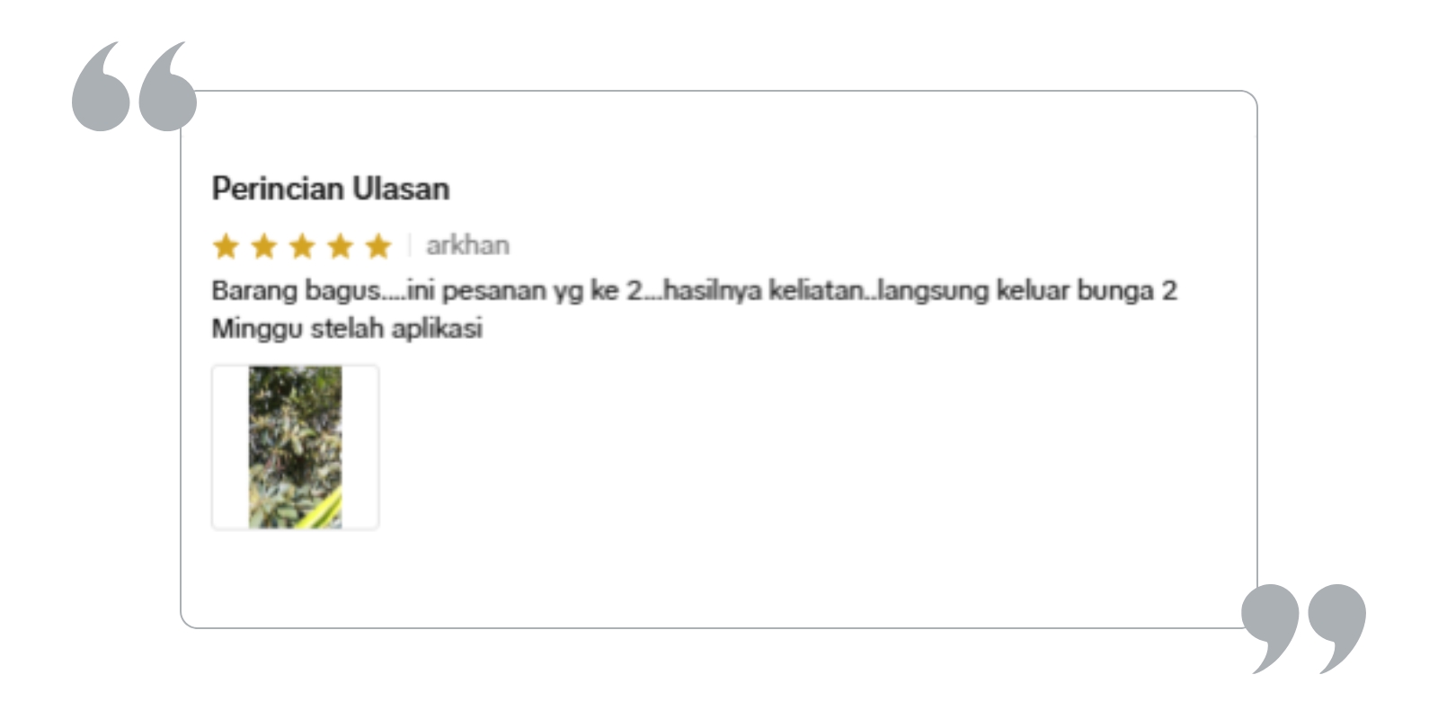 Testimoni (5)